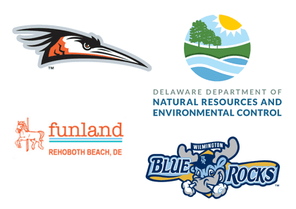 Shorebirds, DNREC, FunLand, Wilmington Blue Rocks